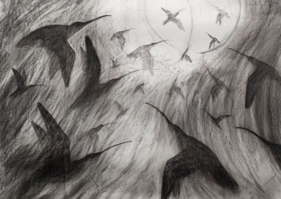 FLIGHT OF THE CURLEWS