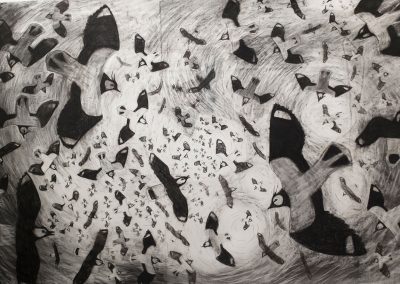 FLIGHT OF THE LAPWINGS