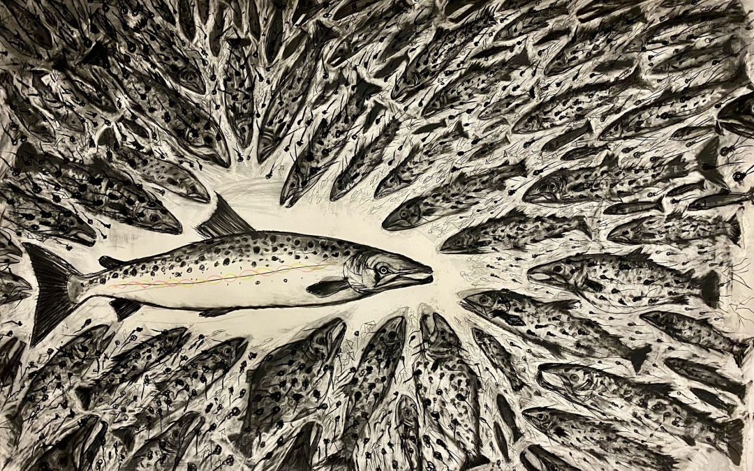 SPIRIT SALMON  -CHARCOAL DRAWINGS