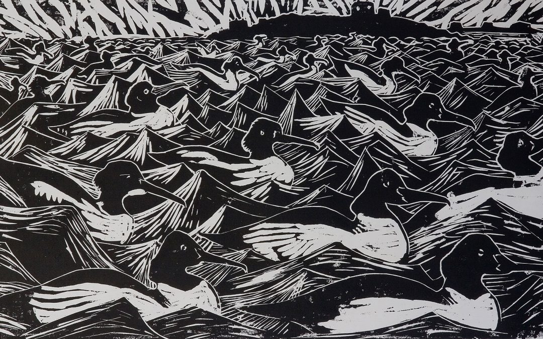 A Fleet of Mergansers