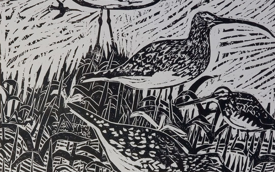 Curlews and Snipe