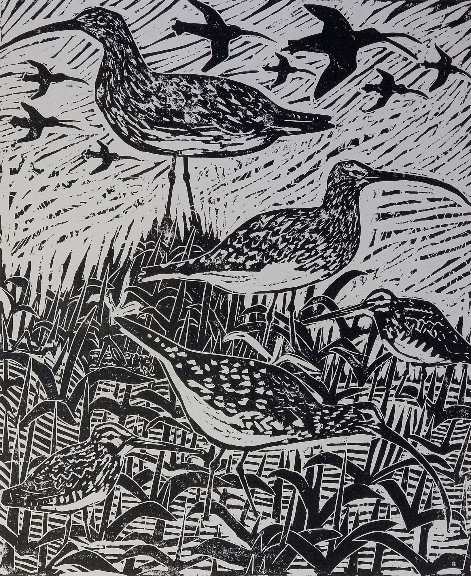 Curlews and Snipe, Woodcut, 74x61cm, 1997 Curlews and Snipe, Woodcut, 74x61cm, 1997