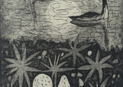 The Cry of the Rain Goose