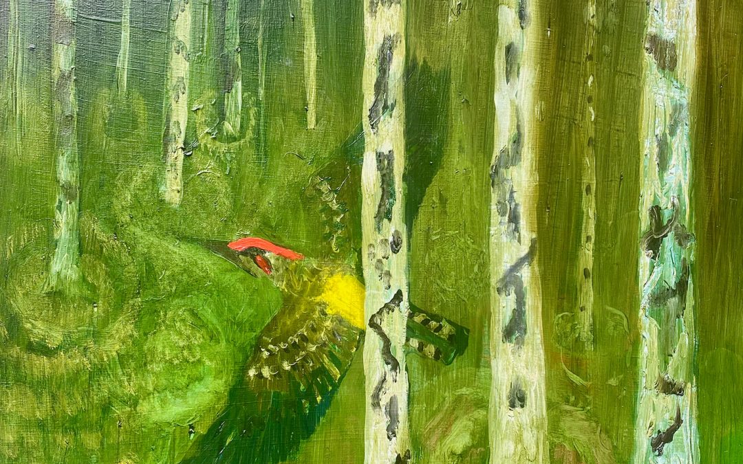 The Flight Of the Green Woodpecker 2