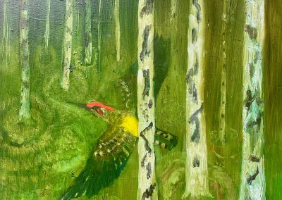 The Flight Of the Green Woodpecker 2