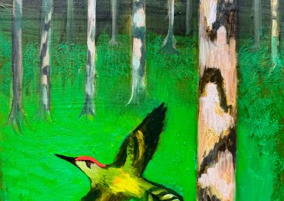 The Flight Of the Green Woodpecker 4