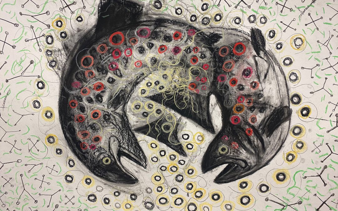 Trout Spawn amongst the Nitrates