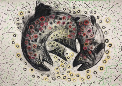 Trout Spawn amongst the Nitrates