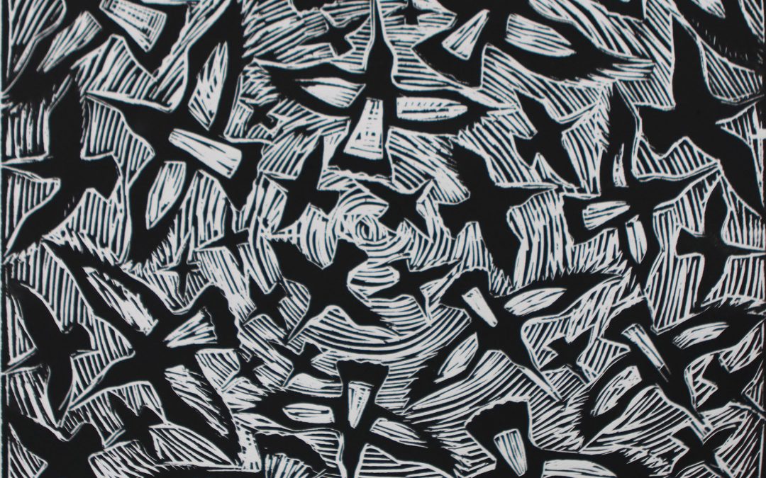 Flight, Oystercatchers