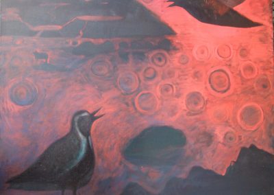 Alone Except for Golden Plover