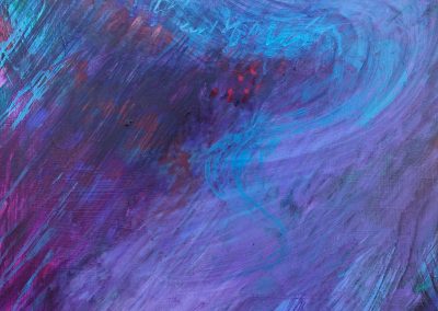 Birds lovers and Northern Lights 4