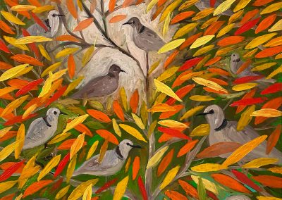 Collared Doves, a picture for Rosa